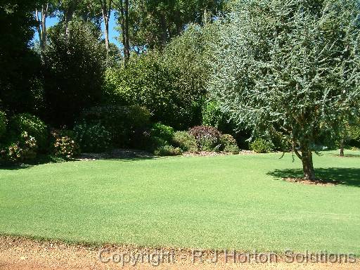 Lawn_QLD blue 